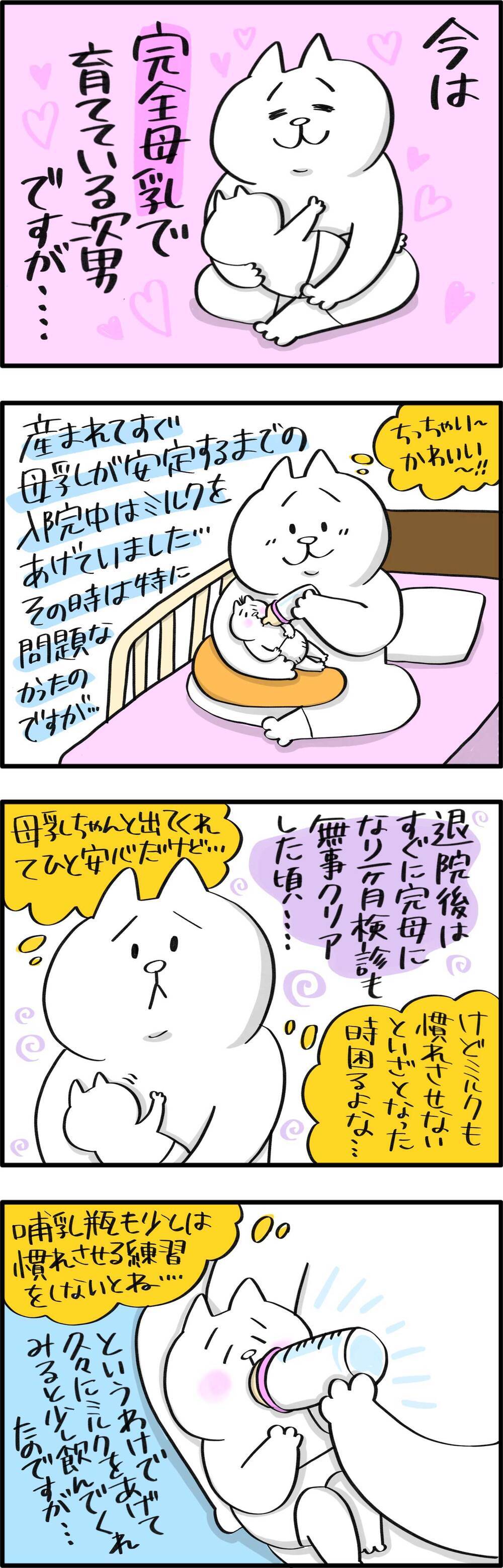 次男の食物アレルギーが発覚した話（1）【PUKUTY(プクティ)只今育児奮闘中！ 第56話】