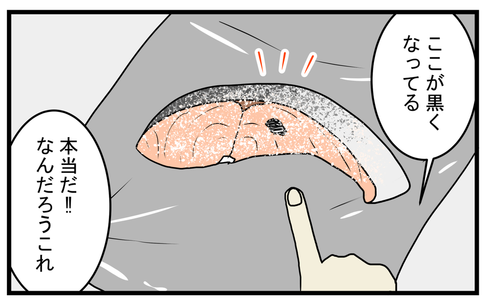 食べても大丈夫？ 一部が黒くなっていた「サケの切り身」の謎【こどもと見つけた小さな発見日誌 Vol.42】