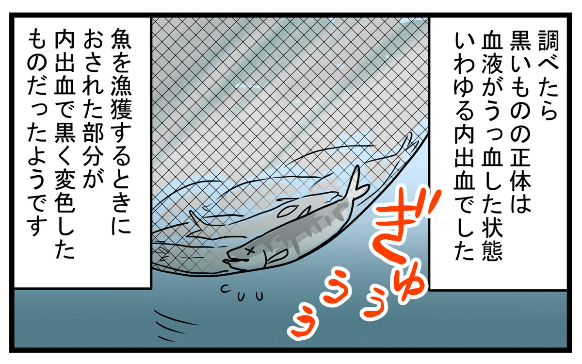 食べても大丈夫 一部が黒くなっていた サケの切り身 の謎 こどもと見つけた小さな発見日誌 Vol 42 ウーマンエキサイト 2 2