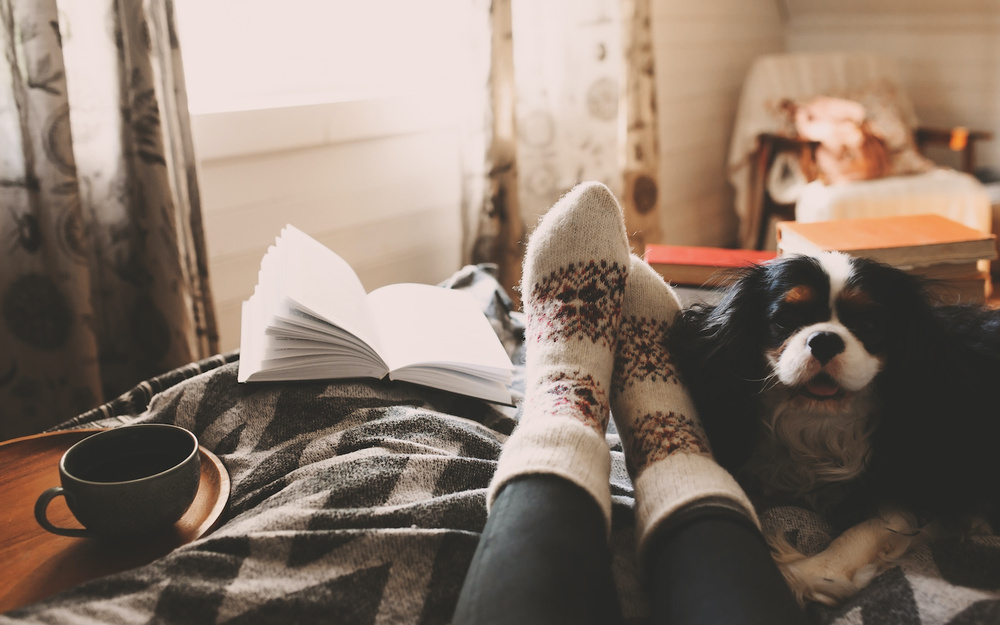 11月1日～11月7日の週間運勢占いランキング！　1位の星座は…？