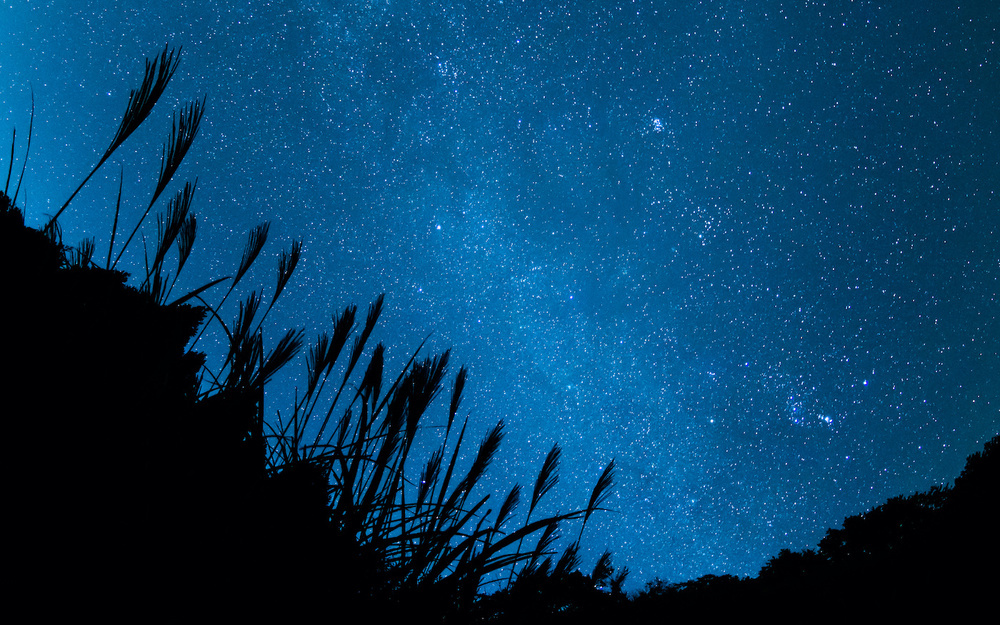 11月22日～11月28日の週間運勢占いランキング！　1位の星座は…？