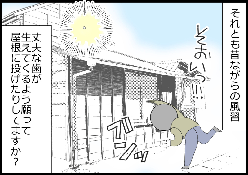 抜けた乳歯どうしてる？ 乳歯ケース？ 屋根に投げる？ 夫に任せていたら…⁉【ヲタママだっていーじゃない！ 第123話】
