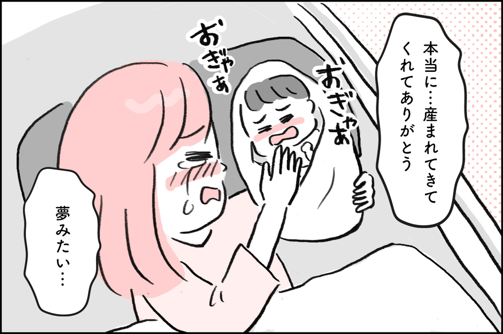 【最終回】産まれてきてくれてありがとう…ツラい4年間の不妊治療を乗り越えらえたワケ【4年間の不妊治療の記録〜私の願いと夫の気持ち〜 第24話】