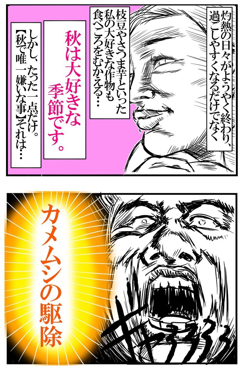 秋の虫と私…大格闘の末、見つけた今年の秘策【めまぐるしいけど愛おしい、空回り母ちゃんの日々 第249話】