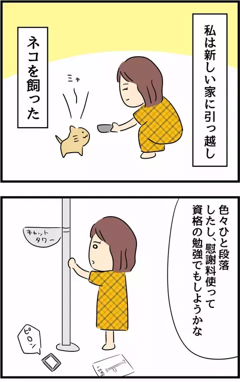 猫との穏やかな新生活！ 友人からのメッセージで確信した今の幸せ【不倫され慰謝料◯◯◯万円ゲットした妻の話  Vol.33】