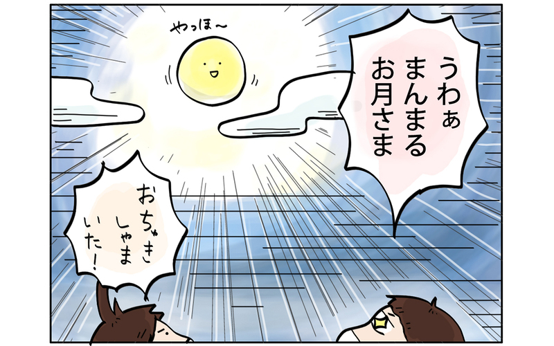 秋は夜空を見上げて…子どもと一緒に天体ショー【こむぎときなこ Vol.36】