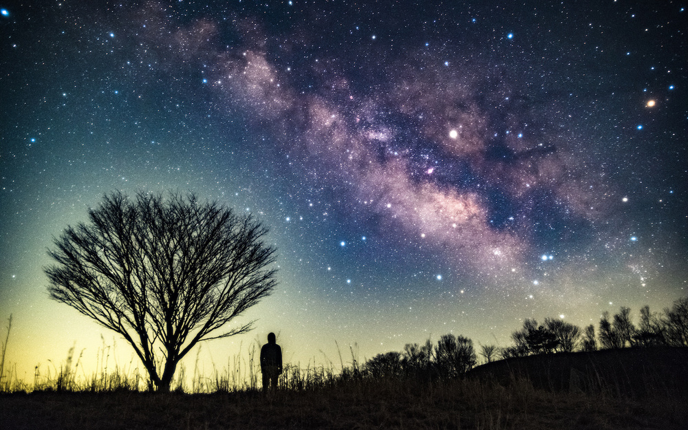 12月13日～12月19日の週間運勢占いランキング！　1位の星座は…？