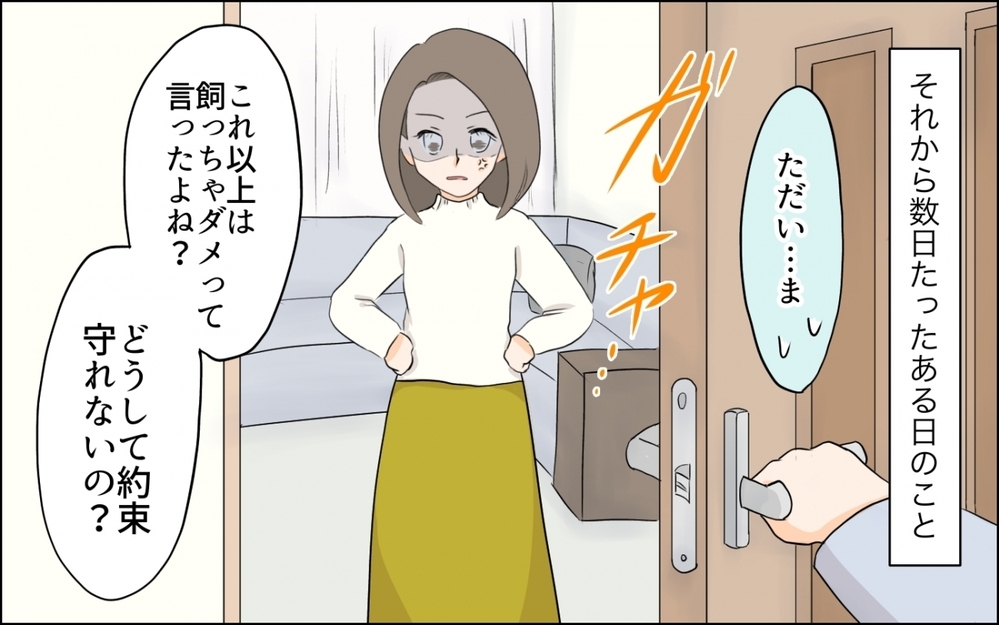 息子の好きなことを否定する母親の存在は苦痛…!?／子どもの好きを応援できない母（4）【親子関係ってどうあるべき？ Vol.68】