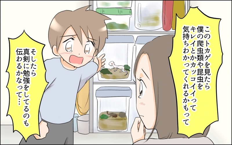 頭ごなしに怒られた息子…行動に隠された真実とは／子どもの好きを応援できない母（5）【まんが】