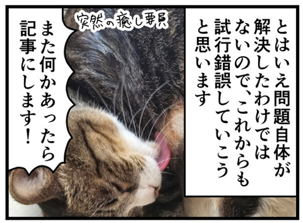 そうだ、できることから始めよう！ 謝罪と感謝の言葉がもたらした効果【もしかして、夫はADHD？ Vol.19】