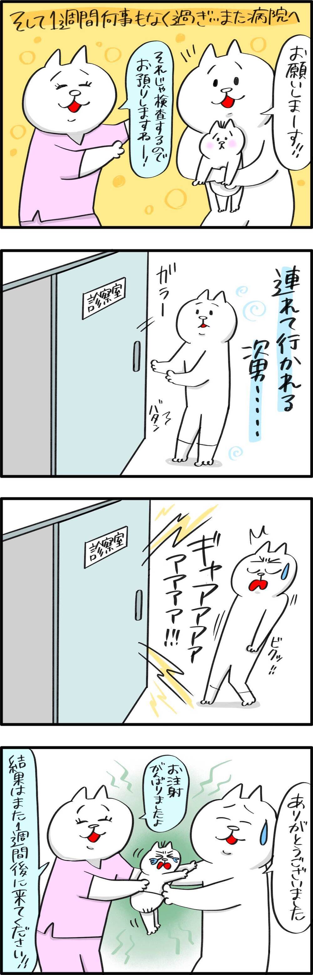 次男の食物アレルギーが発覚した話（3）【PUKUTY(プクティ)只今育児奮闘中！ 第58話】