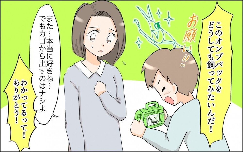 昆虫好きの息子を応援できずに悩む“虫嫌いの母”に読者から「お母さん かわいそう」の意見が集まる