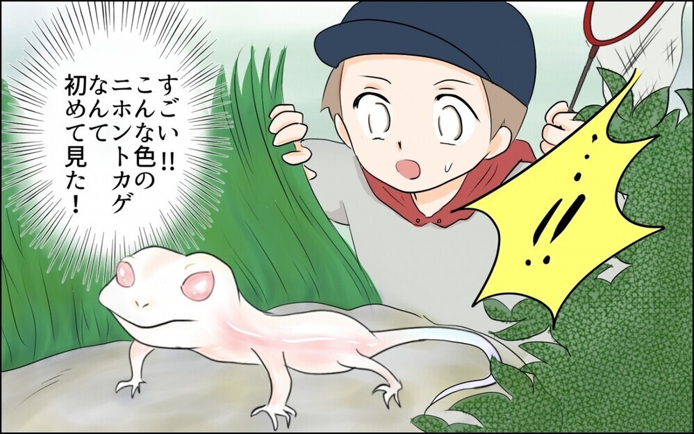 昆虫好きの息子を応援できずに悩む“虫嫌いの母”に読者から「お母さん かわいそう」の意見が集まる