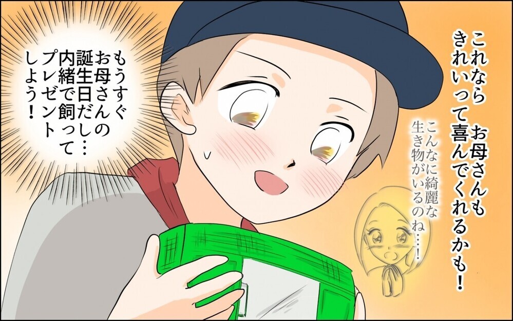 昆虫好きの息子を応援できずに悩む“虫嫌いの母”に読者から「お母さん かわいそう」の意見が集まる