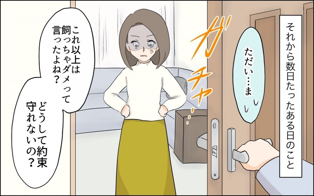 昆虫好きの息子を応援できずに悩む“虫嫌いの母”に読者から「お母さん かわいそう」の意見が集まる