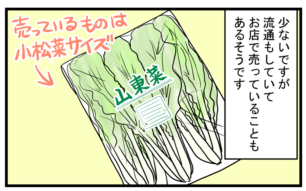 名前がわからない…近所の人にいただいた「謎の野菜」を調べたところ!?【こどもと見つけた小さな発見日誌 Vol.44】