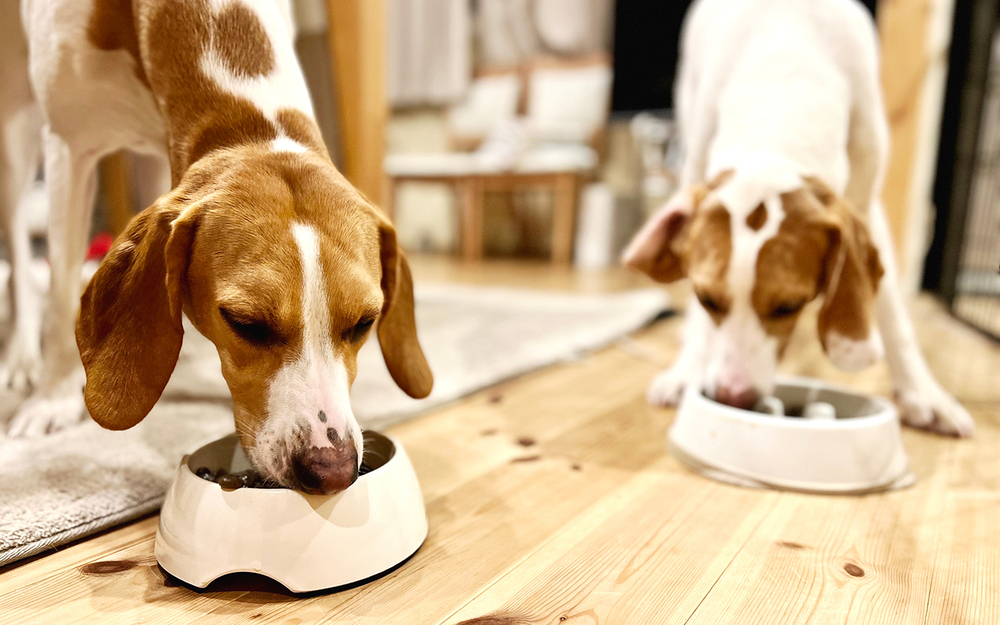 騒音・ゴミ・タバコの煙…パパママの半数はご近所づきあいのトラブルを経験【パパママの本音調査】  Vol.381