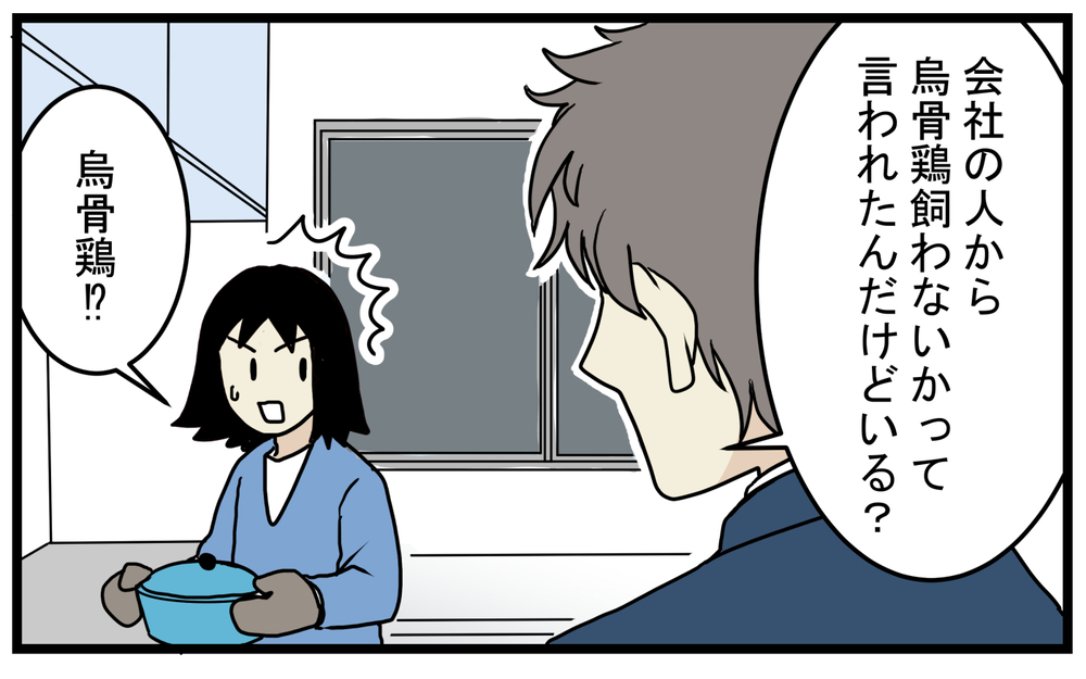 飼育は簡単だと聞いたけど…飼うのには覚悟がいる「烏骨鶏」の話【こどもと見つけた小さな発見日誌 Vol.46】