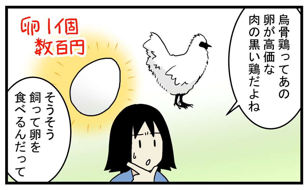 飼育は簡単だと聞いたけど…飼うのには覚悟がいる「烏骨鶏」の話【こどもと見つけた小さな発見日誌 Vol.46】