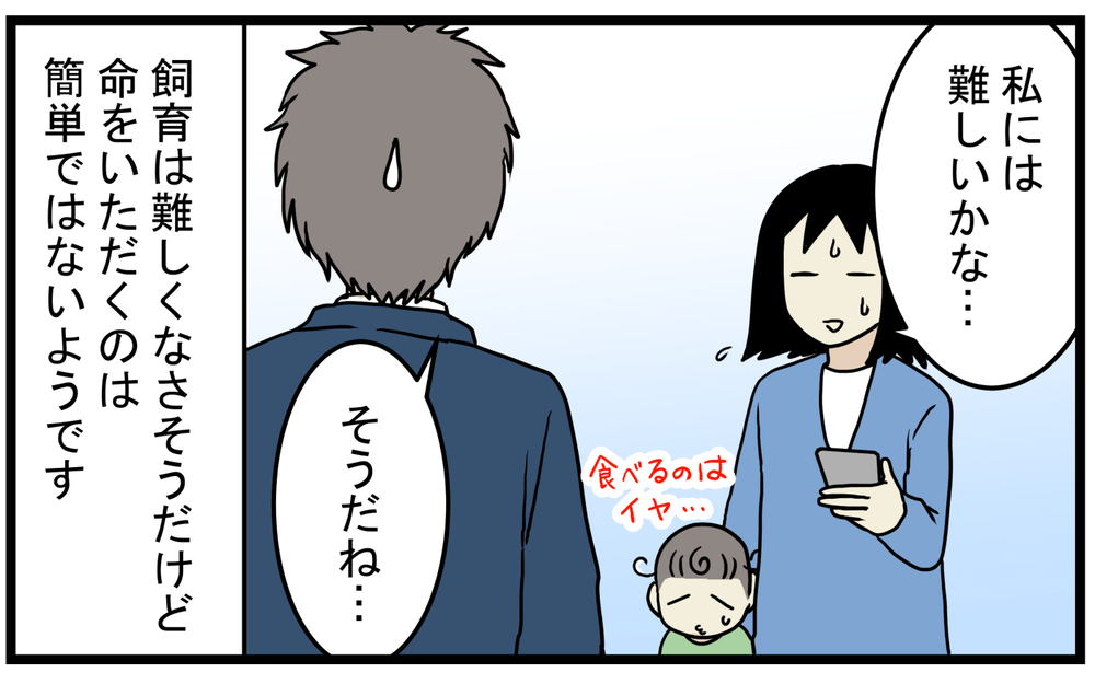 飼育は簡単だと聞いたけど…飼うのには覚悟がいる「烏骨鶏」の話【こどもと見つけた小さな発見日誌 Vol.46】