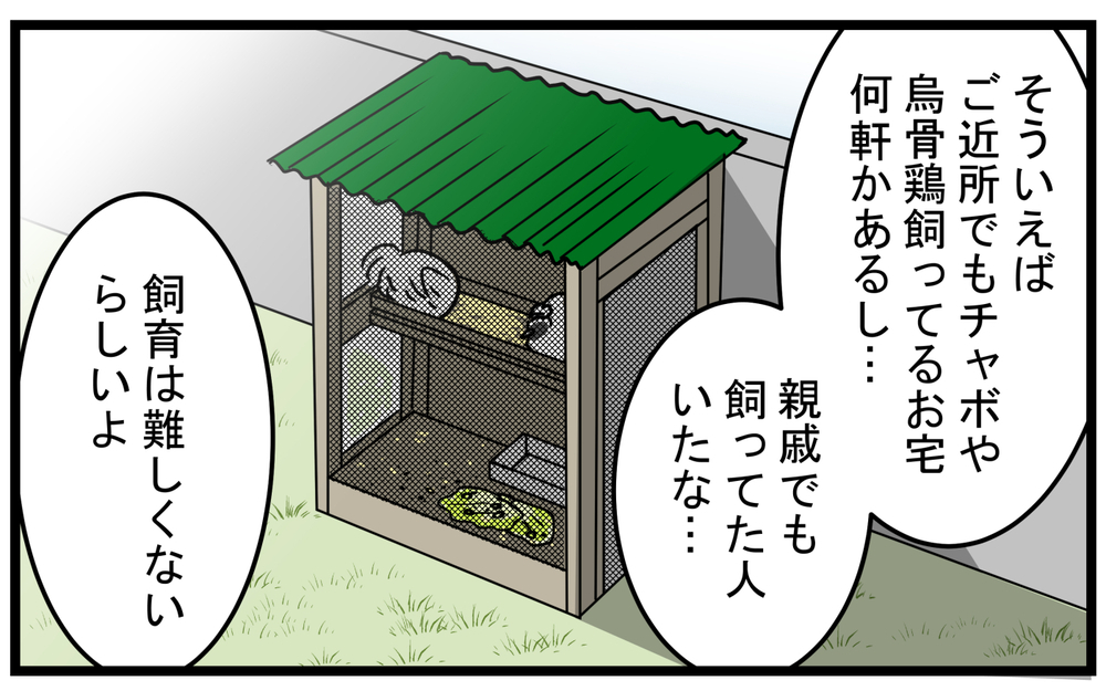 飼育は簡単だと聞いたけど…飼うのには覚悟がいる「烏骨鶏」の話【こどもと見つけた小さな発見日誌 Vol.46】