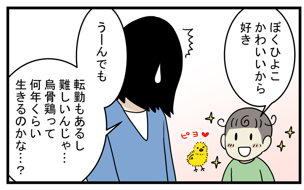 飼育は簡単だと聞いたけど…飼うのには覚悟がいる「烏骨鶏」の話【こどもと見つけた小さな発見日誌 Vol.46】