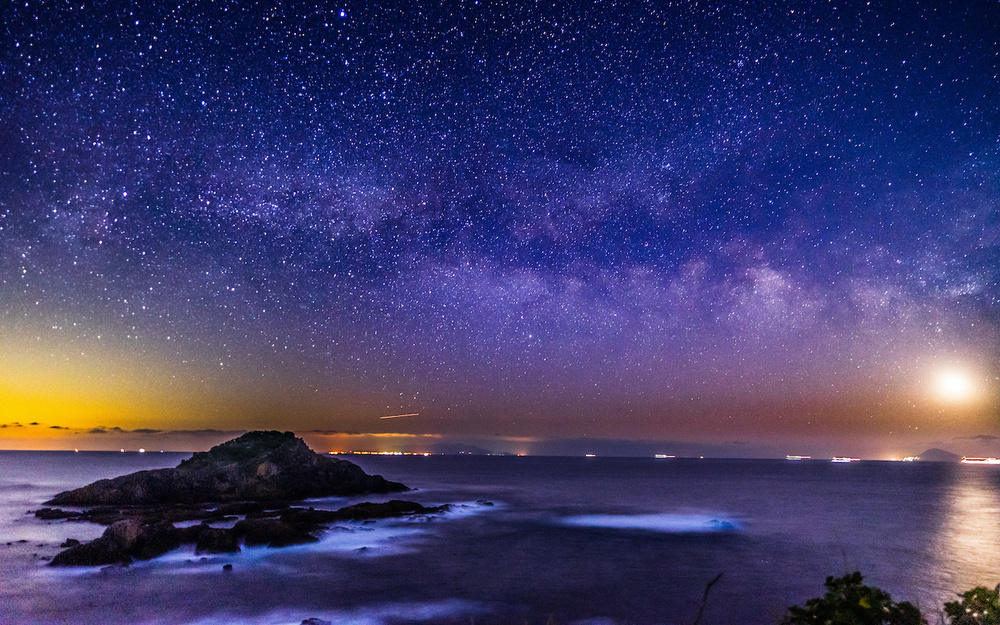 3月14日～3月20日の週間運勢占いランキング！　1位の星座は…？