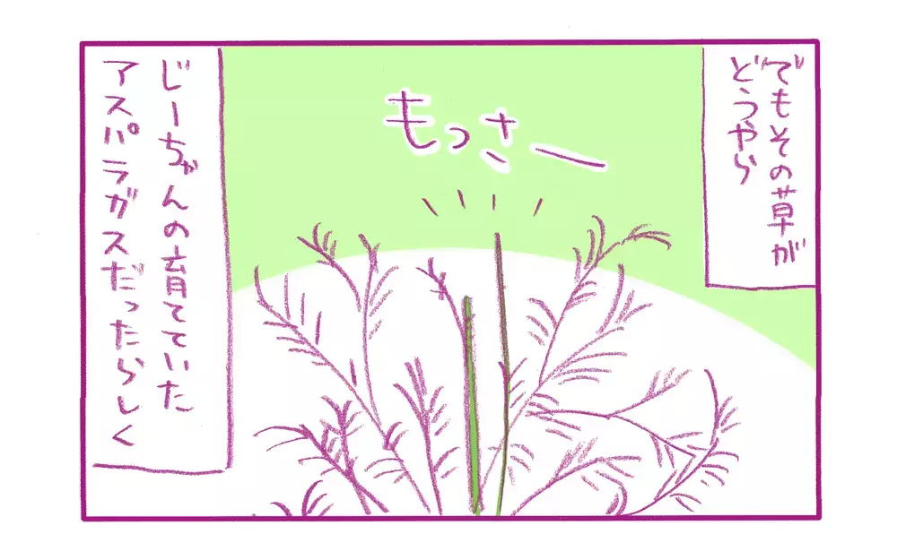 ふと思い出した…祖父・祖母っ子だった私がやらかした「恥エピソード」【もちもちエプリデイ】  Vol.57