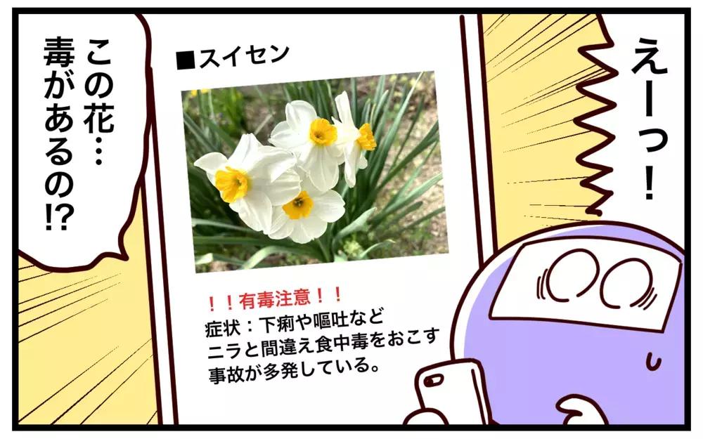 ごく身近に潜む危険!?　知っておきたい「有毒」植物【おばバカ一代 第53話】
