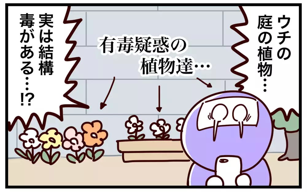 ごく身近に潜む危険!?　知っておきたい「有毒」植物【おばバカ一代 第53話】