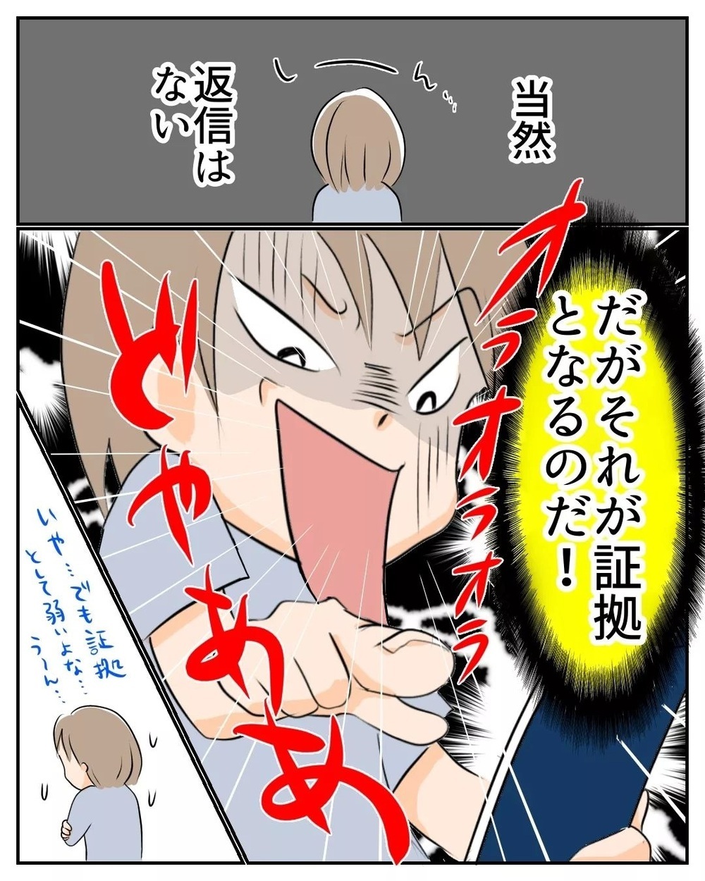 最初から騙す意思があったのか？ 証拠となるものを探し動きだす【産前産後100万円詐欺られました Vol.16】