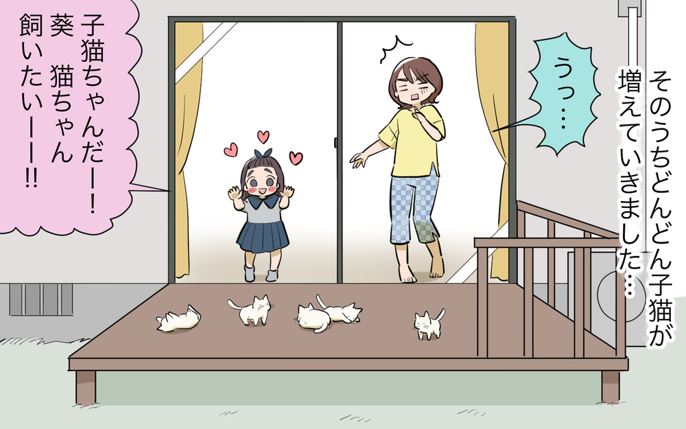 野良猫が急に増え始めた…原因はトラブルメーカーのお隣さん？／ご近所猫トラブル（2）【私のママ友付き合い事情 まんが】