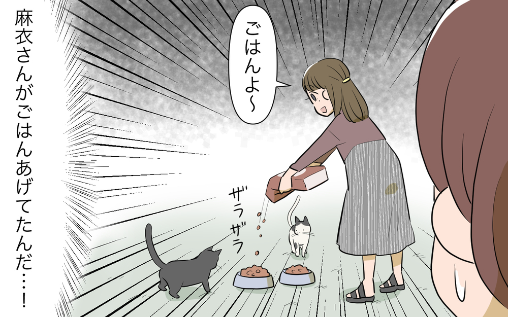 野良猫が急に増え始めた…原因はトラブルメーカーのお隣さん？／ご近所猫トラブル（2）【私のママ友付き合い事情 まんが】