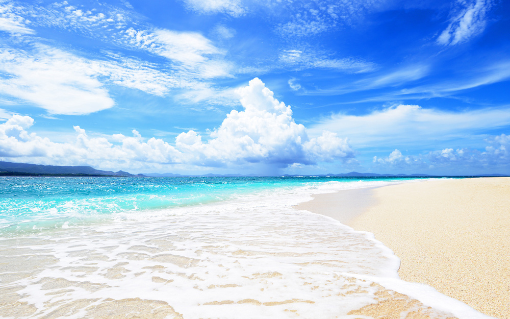 5月23日～5月29日の週間運勢占いランキング！　1位の星座は…？