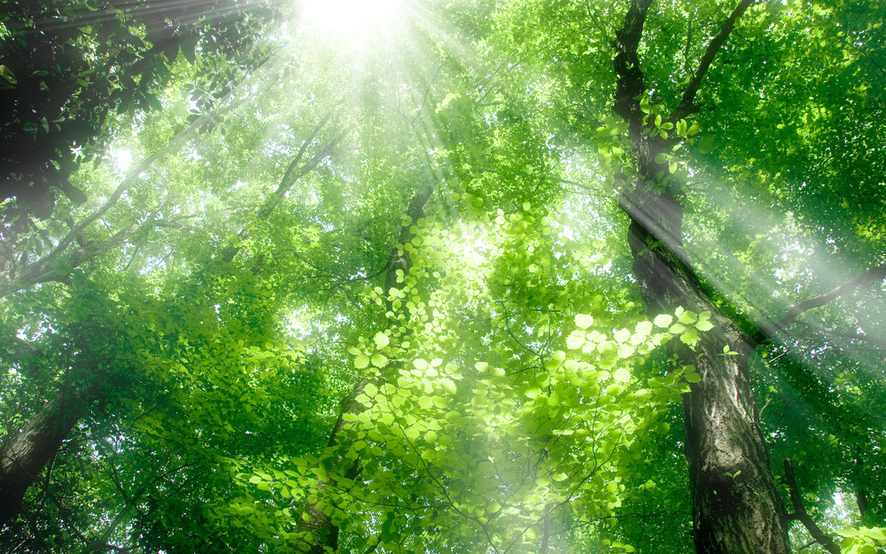 5月30日～6月5日の週間運勢占いランキング！　1位の星座は…？