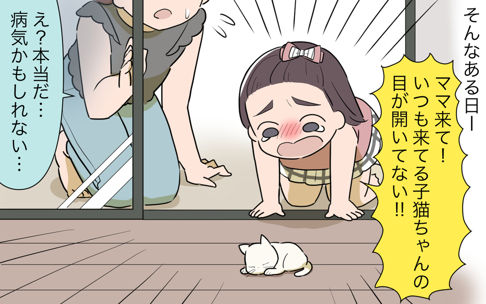 子猫に危険が…！ お隣さんから逃げ続けた私に今できることは／ご近所猫トラブル（4）【私のママ友付き合い事情 まんが】