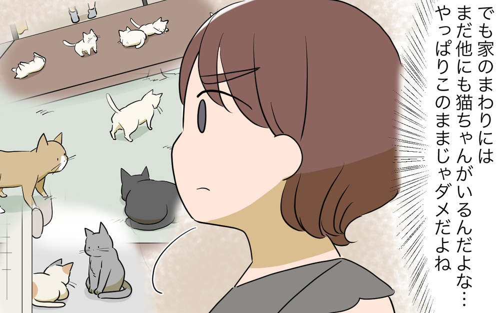 子猫に危険が…！ お隣さんから逃げ続けた私に今できることは／ご近所猫トラブル（4）【私のママ友付き合い事情 まんが】