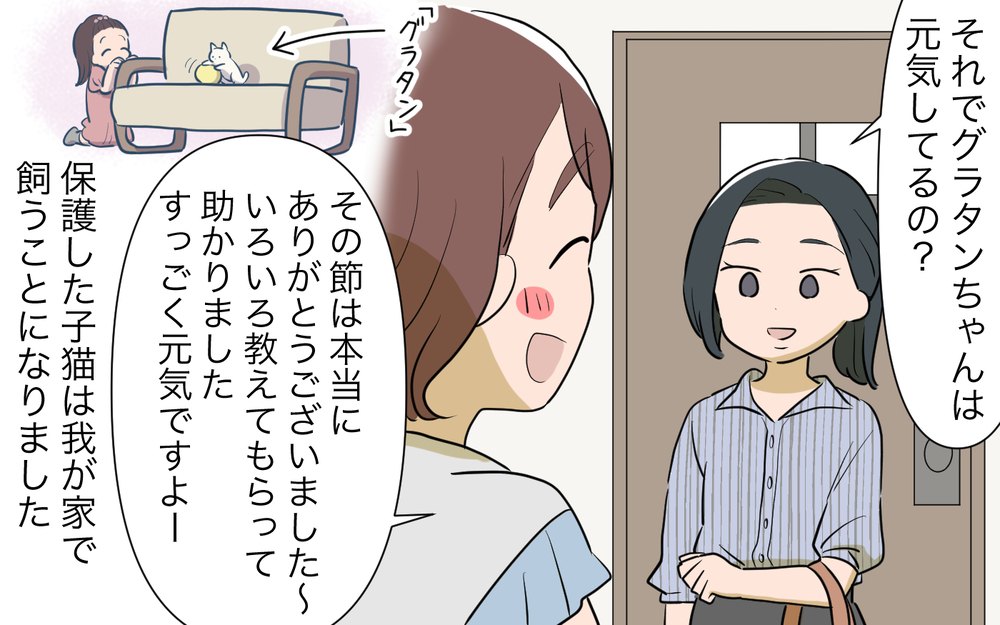 「私が悪いって言うの？」突然泣き出したお隣さんの本心は／ご近所猫トラブル（5）【私のママ友付き合い事情 まんが】