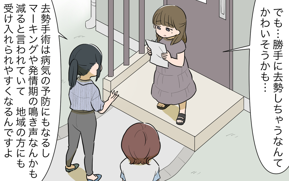 「私は嫌われている」近所トラブルを抱えたお隣さん…増えてしまった猫の問題は／ご近所猫トラブル（6）【私のママ友付き合い事情 まんが】