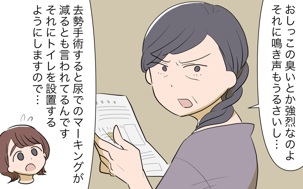 猫トラブル解決の行方は？ ママ友とご近所に平穏な日々は訪れるのか／ご近所猫トラブル（8）【私のママ友付き合い事情 まんが】