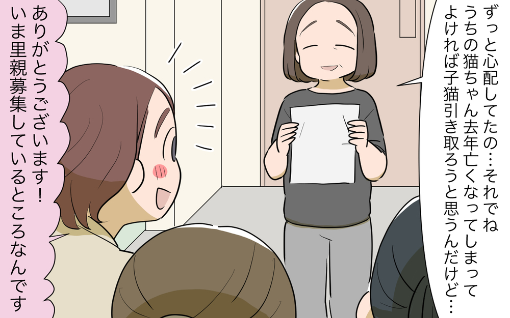 猫トラブル解決の行方は？ ママ友とご近所に平穏な日々は訪れるのか／ご近所猫トラブル（8）【私のママ友付き合い事情 まんが】