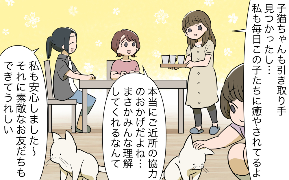 猫トラブル解決の行方は？ ママ友とご近所に平穏な日々は訪れるのか／ご近所猫トラブル（8）【私のママ友付き合い事情 まんが】