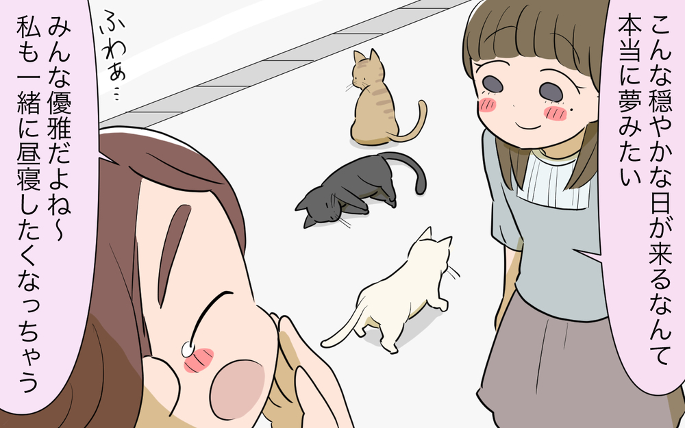 猫トラブル解決の行方は？ ママ友とご近所に平穏な日々は訪れるのか／ご近所猫トラブル（8）【私のママ友付き合い事情 まんが】