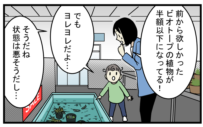 芽が出ることに賭けて購入！ 枯れかけた「謎の水草」を育ててみたところ!?【こどもと見つけた小さな発見日誌 Vol.49】