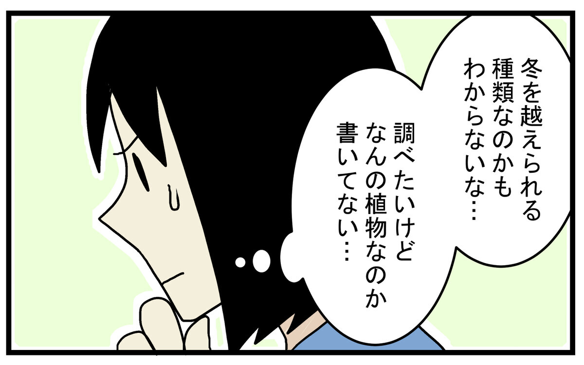 芽が出ることに賭けて購入 枯れかけた 謎の水草 を育ててみたところ こどもと見つけた小さな発見日誌 Vol 49 ウーマンエキサイト 1 2
