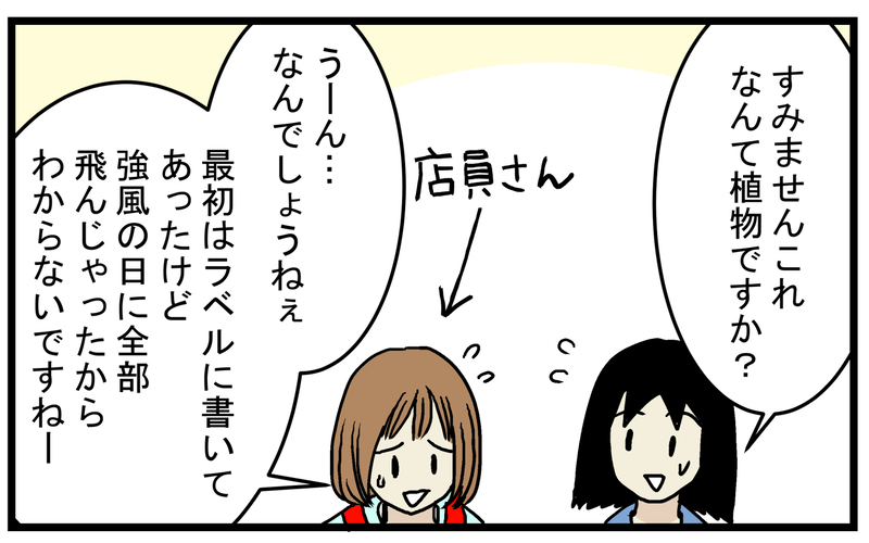 芽が出ることに賭けて購入！ 枯れかけた「謎の水草」を育ててみたところ!?【こどもと見つけた小さな発見日誌 Vol.49】
