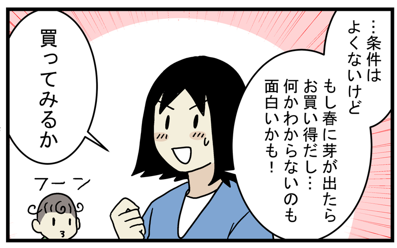 芽が出ることに賭けて購入！ 枯れかけた「謎の水草」を育ててみたところ!?【こどもと見つけた小さな発見日誌 Vol.49】