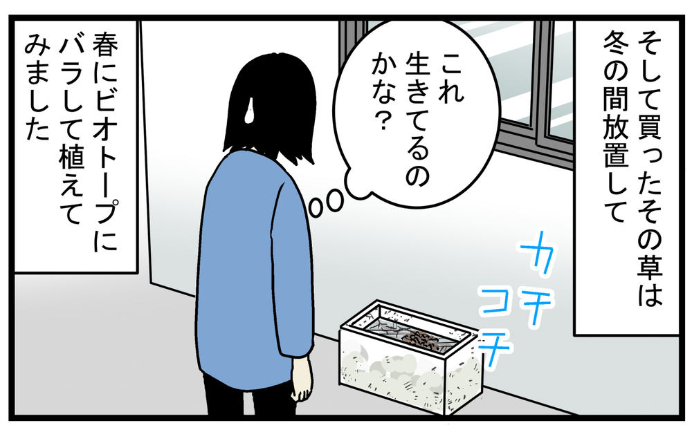芽が出ることに賭けて購入！ 枯れかけた「謎の水草」を育ててみたところ!?【こどもと見つけた小さな発見日誌 Vol.49】