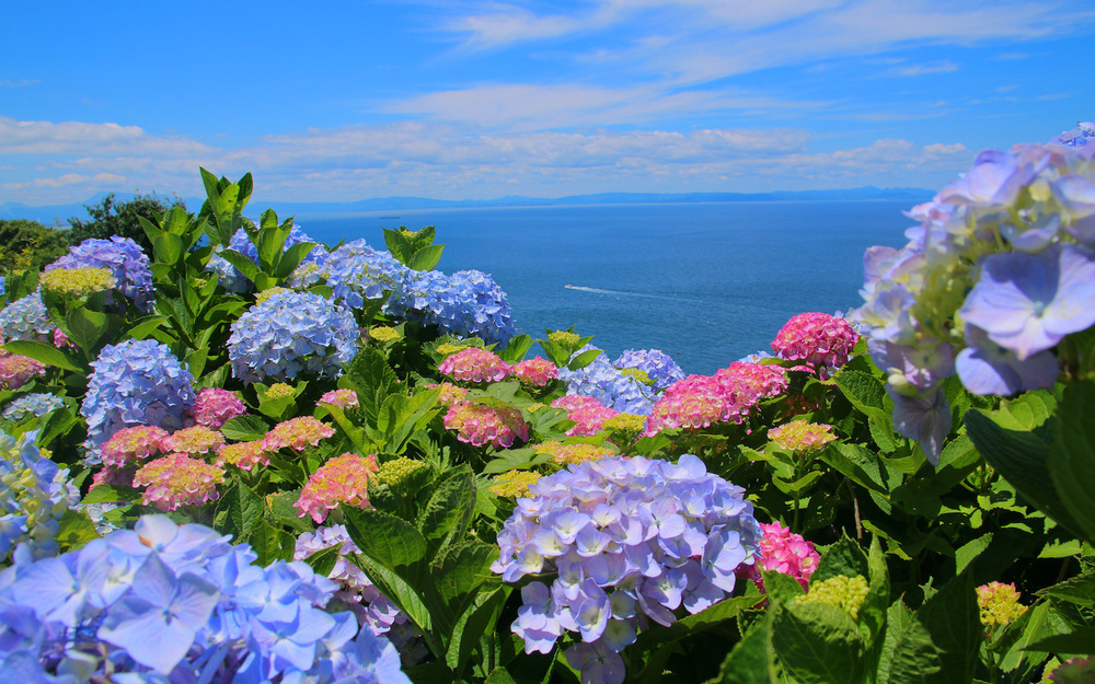 6月6日～6月12日の週間運勢占いランキング！　1位の星座は…？