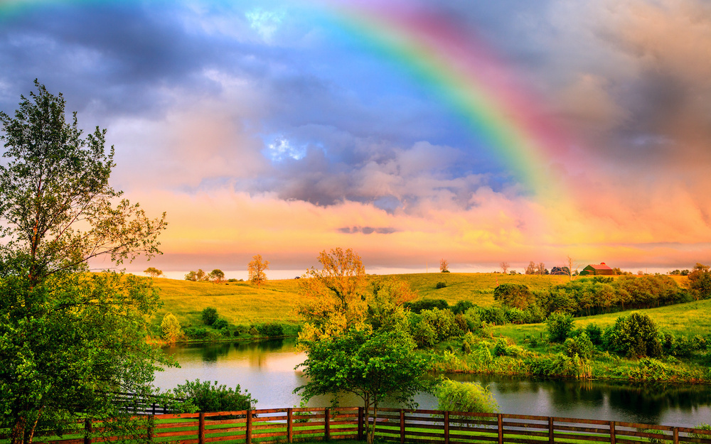 6月27日～7月3日の週間運勢占いランキング！　1位の星座は…？